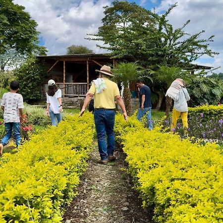 Hacienda Cafetera La Gaviota Villa Chinchiná Kültér fotó