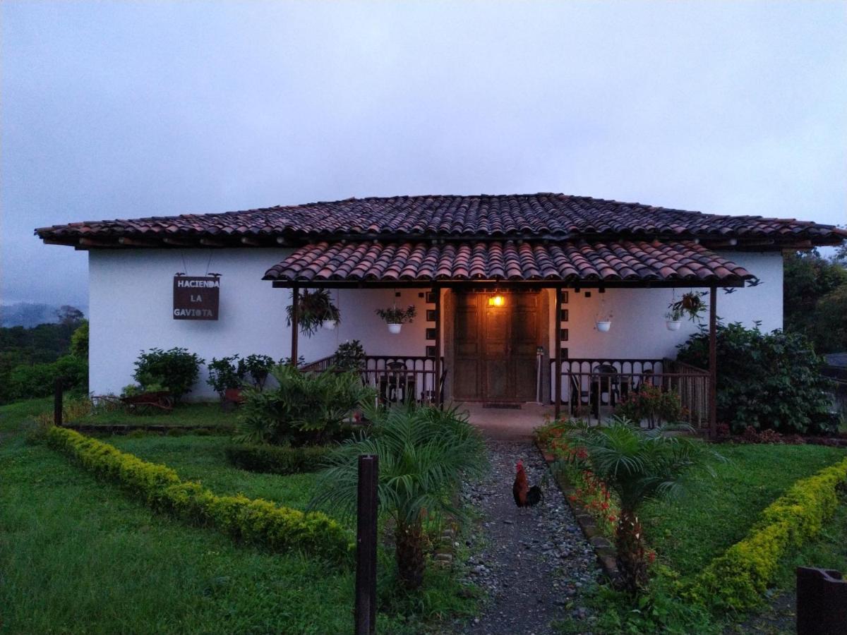 Hacienda Cafetera La Gaviota Villa Chinchiná Kültér fotó