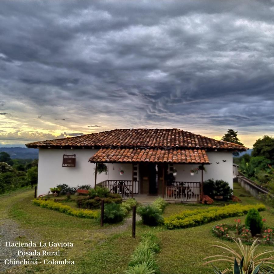 Hacienda Cafetera La Gaviota Villa Chinchiná Kültér fotó